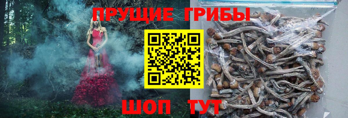 Галлюциногенные грибы ЛСД Партизанск