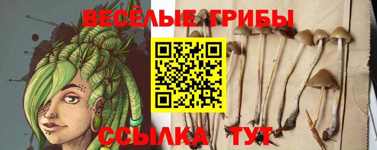 Галлюциногенные грибы Psilocybe  продажа наркотиков  Псилоцибиновые грибы Cubensis  Партизанск  Вход с VPN 